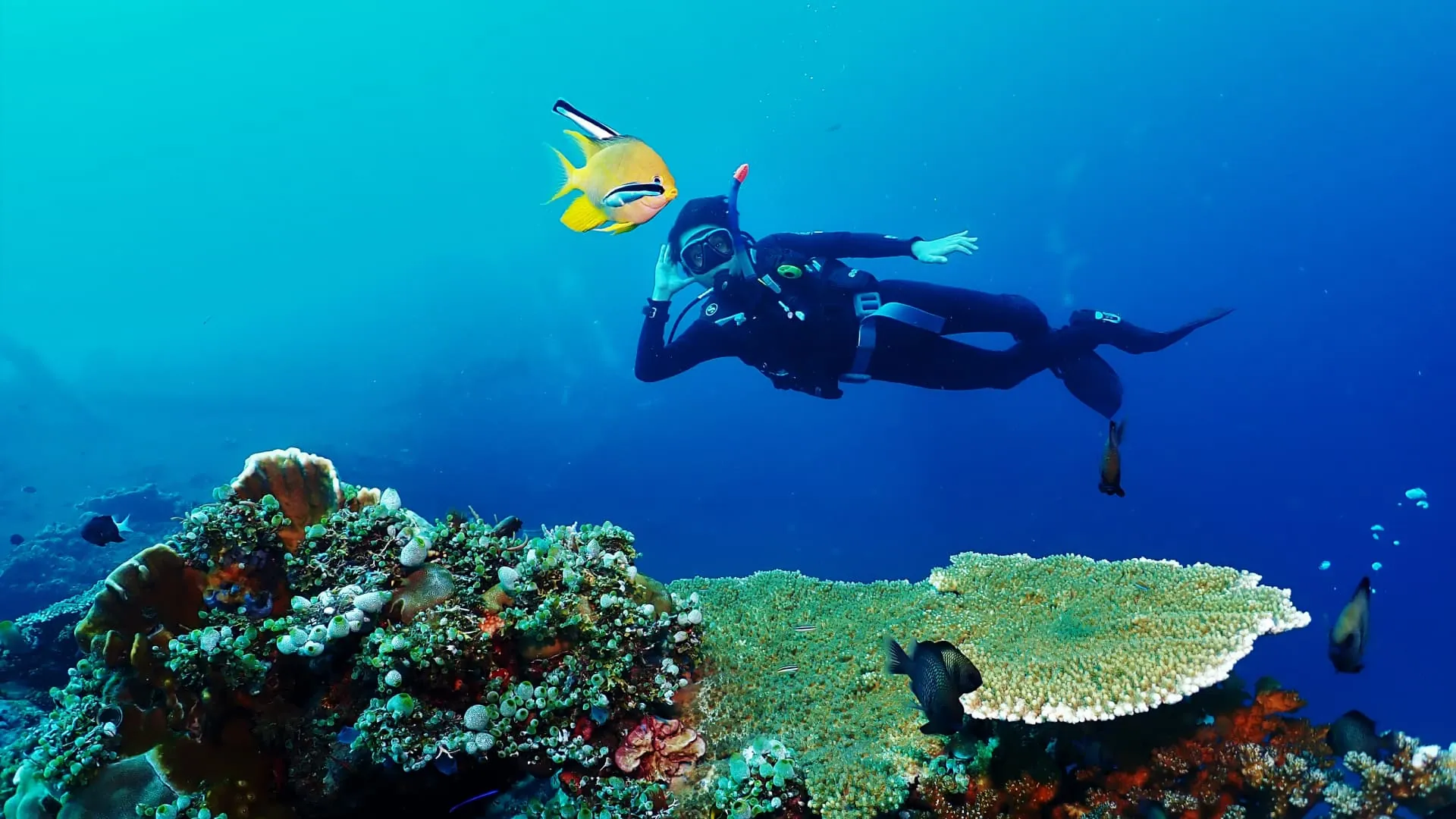 Try Scuba Diving Bali Beginner